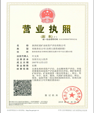 星空体育综合:2025年全球能源转型报告：关键矿产成各国战略争夺焦点